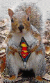 humour19.gif