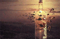 humour1.gif