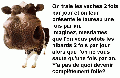 humour33.gif