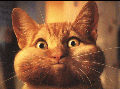 humour9.gif