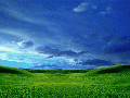 wallpaper10.gif