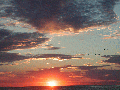 wallpaper6.gif
