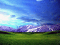 wallpaper8.gif
